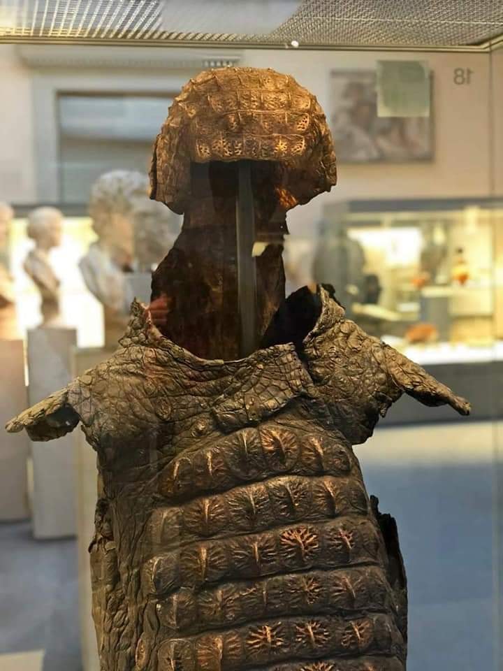 RT @amayor: Roman crocodile armor,…